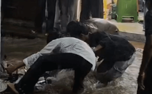 चंदेरी और अशोकनगर में झमाझम बारिश: सदर बाजार में सैलाब जैसे हालात, पानी में बही बाइकें