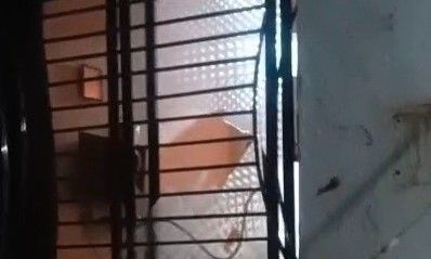 गुना: गणेश झांकी में भजन बजाने की सलाह देने पर महिला के घर पर हमला, 15-20 लोगों ने की पत्थरबाजी
