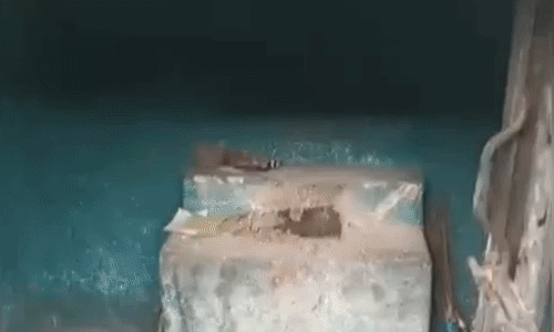 अशोकनगर: भैंसा गांव में काली माता मंदिर से प्रतिमा बाहर फेंकने वाले दो आरोपी गिरफ्तार