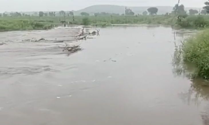 गुना में झमाझम बारिश से उफनी भौंरा नदी, आठ घंटे में दो इंच से अधिक बरसा पानी
