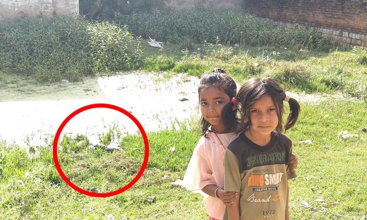 शिवपुरी की अशोक विहार कॉलोनी में मगरमच्छ का खौफ: महीनों से दहशत में लोग, रेस्क्यू का इंतजार