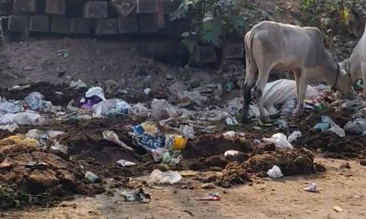 ग्वालियर में दीपावली से पहले सफाई व्यवस्था ठप होने की चेतावनी, आउटसोर्स कर्मचारियों ने खोला मोर्चा