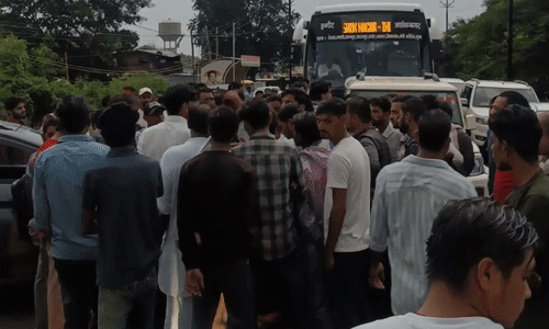अशोकनगर में वाहन की टक्कर से बछड़ा घायल, आक्रोशित लोगों ने लगाया सड़क पर जाम