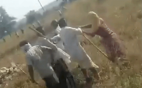 शिवपुरी के जागती गांव में खेत पर भैंस चराने को लेकर खूनी संघर्ष, आरोपियों ने की ताबड़तोड़ फायरिंग
