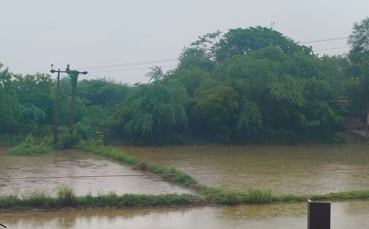 भिंड के आलमपुर-लहार में मानसून की दस्तक, 6 घंटे की बारिश से किसानों के चेहरे खिले
