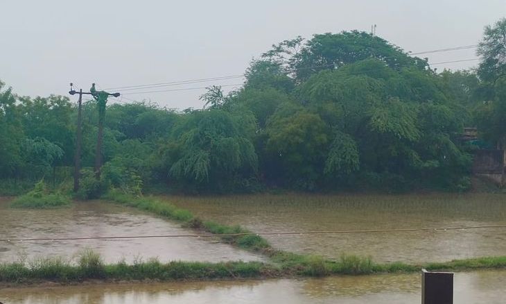 भिंड के आलमपुर-लहार में मानसून की दस्तक, 6 घंटे की बारिश से किसानों के चेहरे खिले