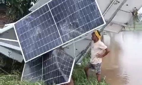शिवपुरी के पिछोर में महुअर नदी में बाढ़: डूबे सोलर पंप, मूंगफली की फसल तबाह और बिजली गुल