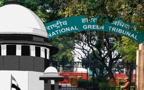 ग्वालियर-चंबल अंचल में सिंध नदी पर अवैध रेत उत्खनन: एनजीटी ने बनाई तीन सदस्यीय जांच समिति, छह सप्ताह में मांगी रिपोर्ट