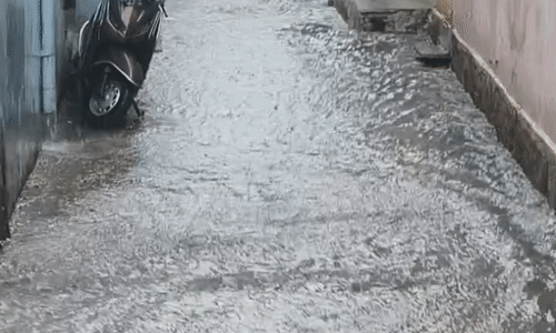 दतिया में झमाझम बारिश से जनजीवन प्रभावित, कई इलाकों में भरा पानी