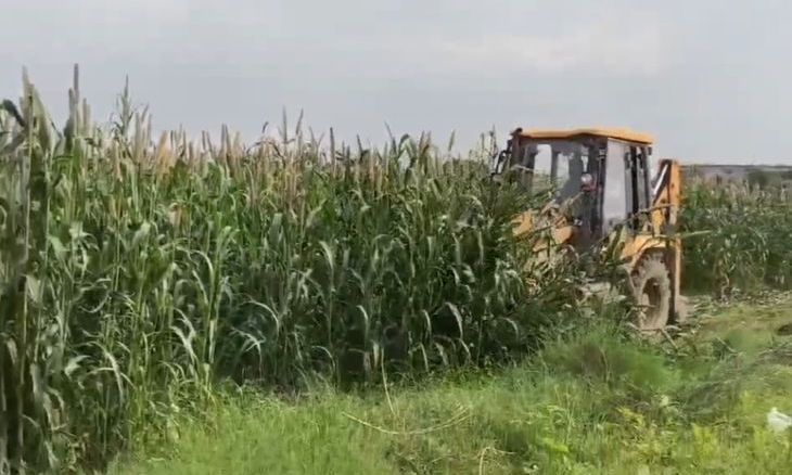 अंबाह में प्रशासन की बड़ी कार्रवाई, 21 करोड़ की सरकारी जमीन को भूमाफिया के चंगुल से कराया मुक्त