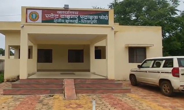 तेंदुआ शिकार मामला: सुप्रीम कोर्ट से वाइल्ड-लाइफ एसओएस के सीईओ को अंतरिम राहत, शिवपुरी में पेशी के निर्देश