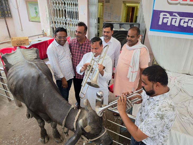 डबरा पालिका में आरपार की लड़ाई: पार्षदों ने भैंस के आगे बजाई बीन, अध्यक्ष पक्ष ने लगाए गंभीर आरोप
