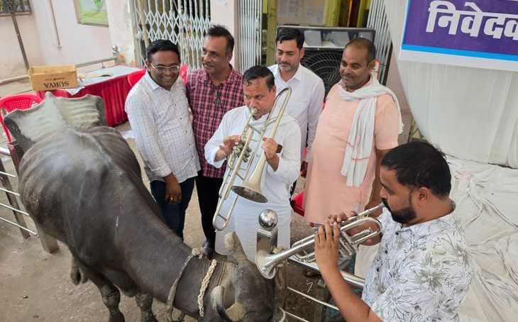 डबरा पालिका में आरपार की लड़ाई: पार्षदों ने भैंस के आगे बजाई बीन, अध्यक्ष पक्ष ने लगाए गंभीर आरोप