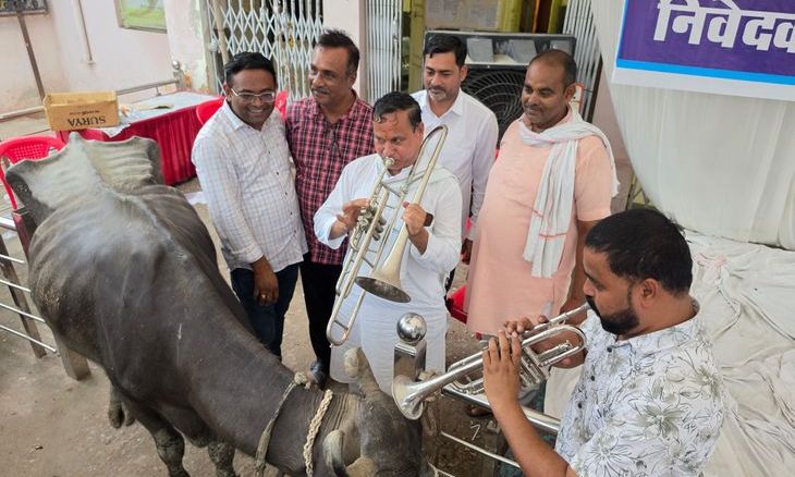डबरा पालिका में आरपार की लड़ाई: पार्षदों ने भैंस के आगे बजाई बीन, अध्यक्ष पक्ष ने लगाए गंभीर आरोप
