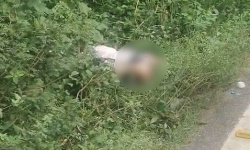 ग्वालियर में कैसंर पहाड़िया के पास मिला लापता किशोरी का शव, गले पर मिले निशान