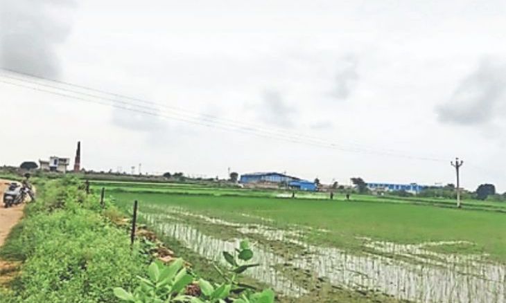 श्योपुर में सरकारी पट्टा जमीनों की बिक्री में बड़ा खेल, कलेक्टर की रोक के बावजूद कमिश्नर से मिली हरी झंडी