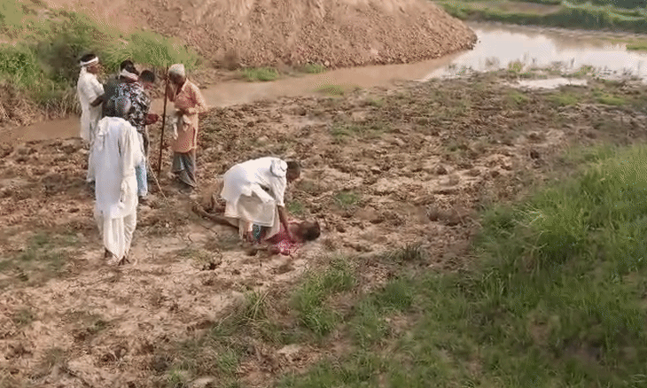 मुरैना: खेत की जुताई पर विवाद, फरसा-लाठी चलने से 6 लोग घायल