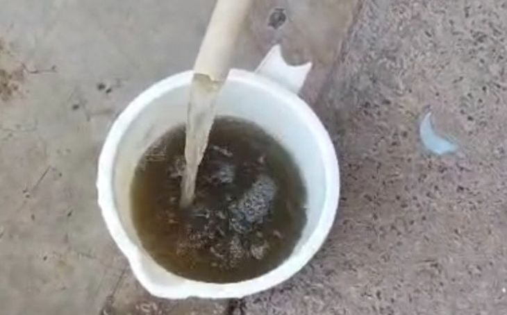 मुरैना की तुलसी कॉलोनी में दूषित पानी का संकट: 15 दिनों से परेशान रहवासी, निगम आयुक्त ने दिए जांच के आदेश