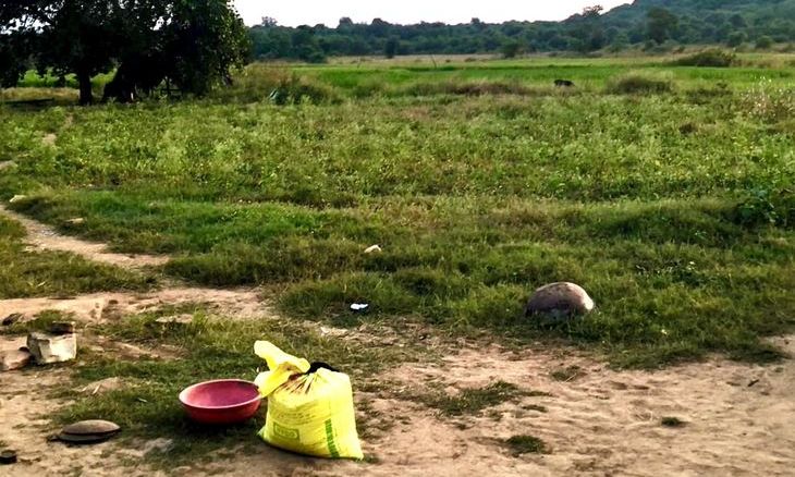 शिवपुरी के कोलारस में वन भूमि पर दोबारा कब्जा, मुक्त कराई गई 40 बीघा जमीन पर चली जुताई