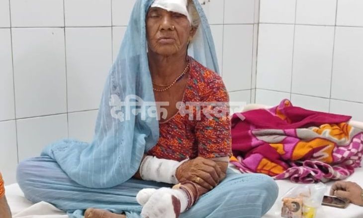 शिवपुरी में 70 साल की बुजुर्ग महिला ने दिखाया अदम्य साहस, सियार के हमले से भिड़कर बचाई अपनी जान