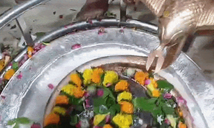 सावन के तीसरे सोमवार पर भिंड के शिवालयों में उमड़े श्रद्धालु, कांवड़ियों ने किया गंगाजल से अभिषेक