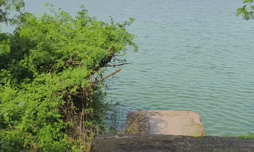 दतिया में थमा बारिश का क्रम, तापमान बढ़ने से बढ़ी उमस और गर्मी