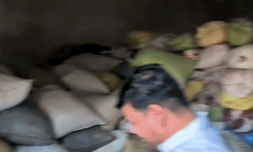 बदरवास में अवैध भंडारण पर बड़ी कार्रवाई: 300 क्विंटल सरकारी चावल जब्त, गोदाम सील और एफआईआर दर्ज