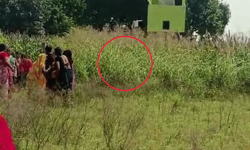 मुरैना के पोरसा में खेत की मेड को लेकर खूनी संघर्ष, पथराव और फायरिंग में तीन जख्मी