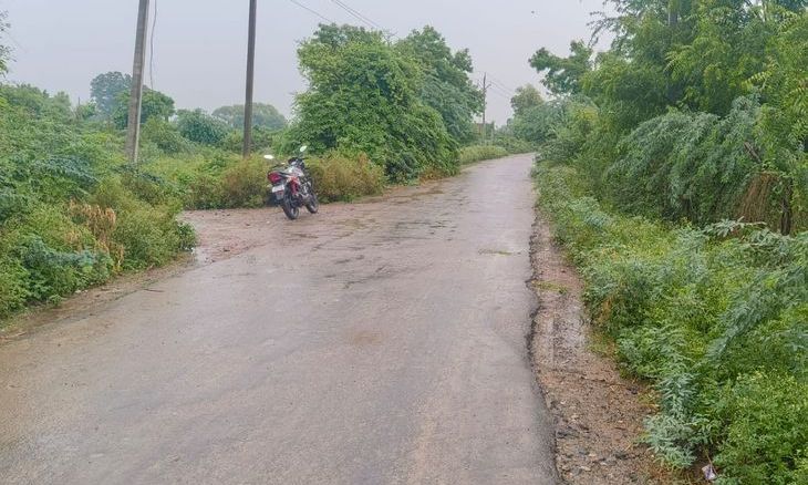 भिंड के आलमपुर में जानलेवा झाड़ियां: सड़कों पर बढ़ रहा दुर्घटनाओं का खतरा, प्रशासन बेखबर