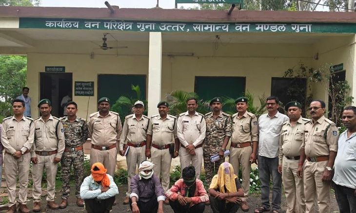 गुना के भादौरा जंगल में तेंदुआ शिकार कांड: चार शिकारी गिरफ्तार, दवा के लिए मारने की बात आई सामने