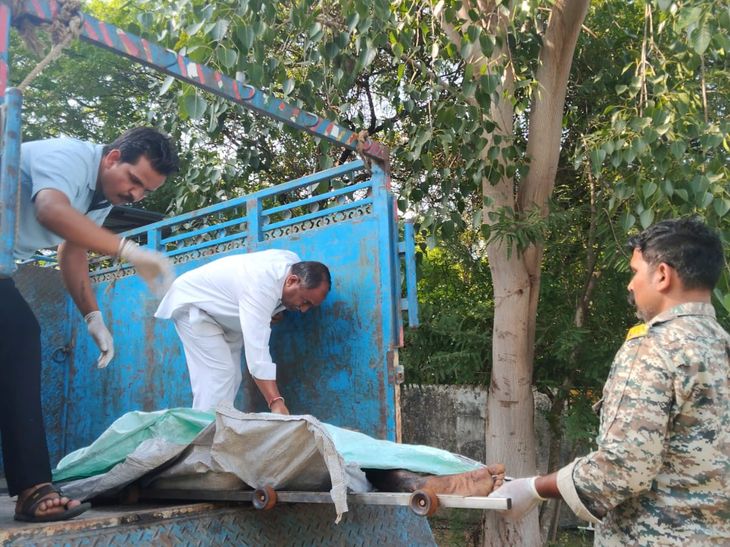 दतिया में रेलवे ट्रैक पर मिला अधकटा शव, हाथ और पैर धड़ से अलग पड़े मिले