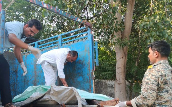 दतिया में रेलवे ट्रैक पर मिला अधकटा शव, हाथ और पैर धड़ से अलग पड़े मिले
