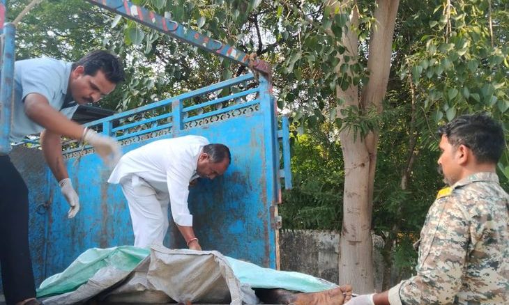दतिया में रेलवे ट्रैक पर मिला अधकटा शव, हाथ और पैर धड़ से अलग पड़े मिले