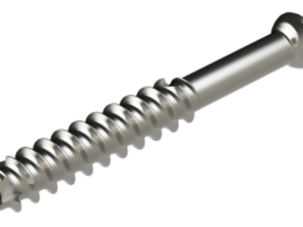 Cannulated Screw System