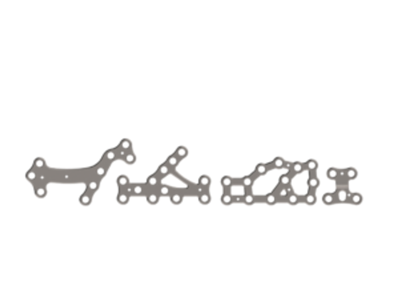 Calcaneus Plating System