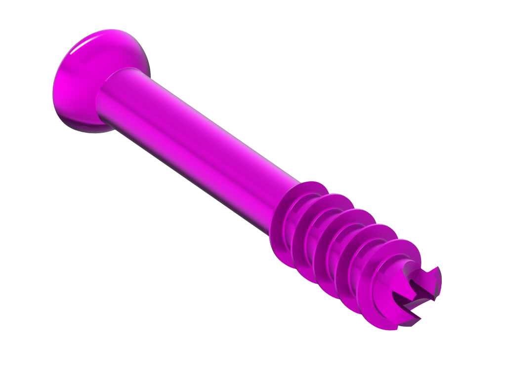 Headed Screws