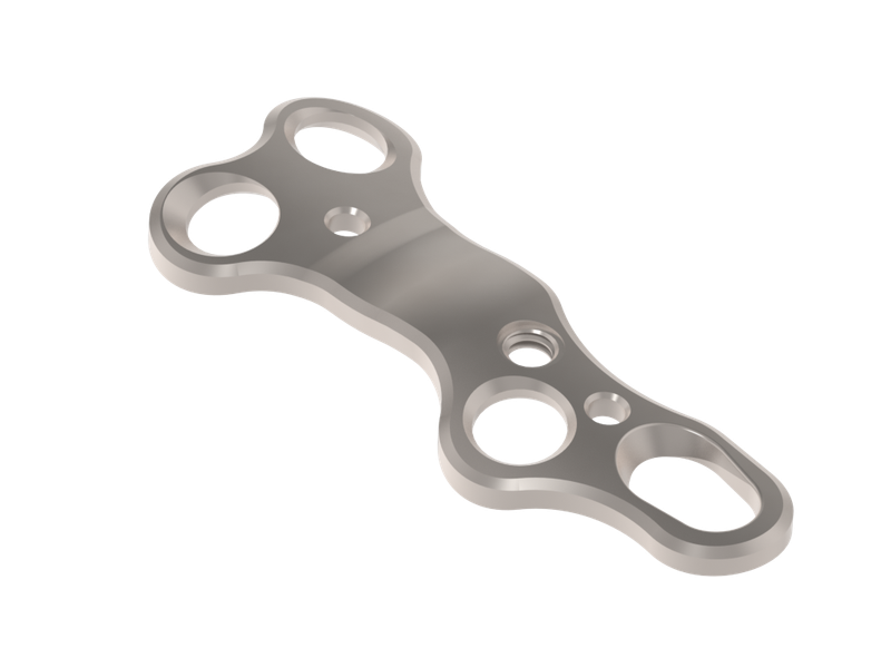 Lapidus Plating System