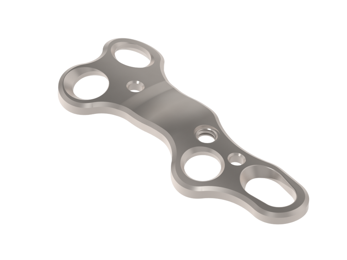 Lapidus Plating System