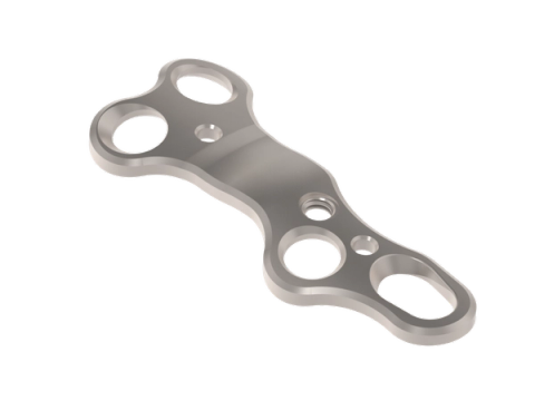 Lapidus Plating System