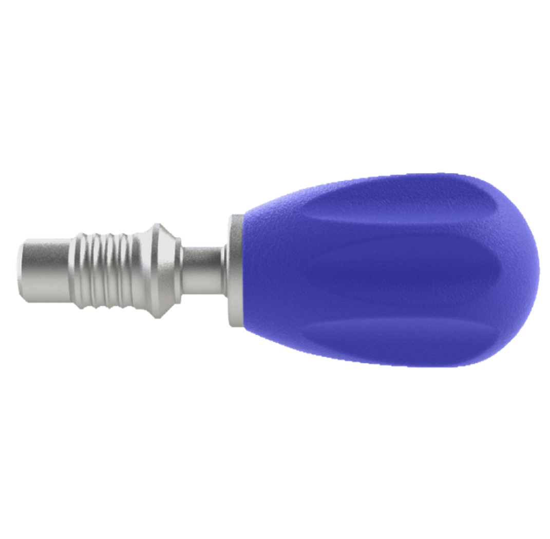Standard Palm product image