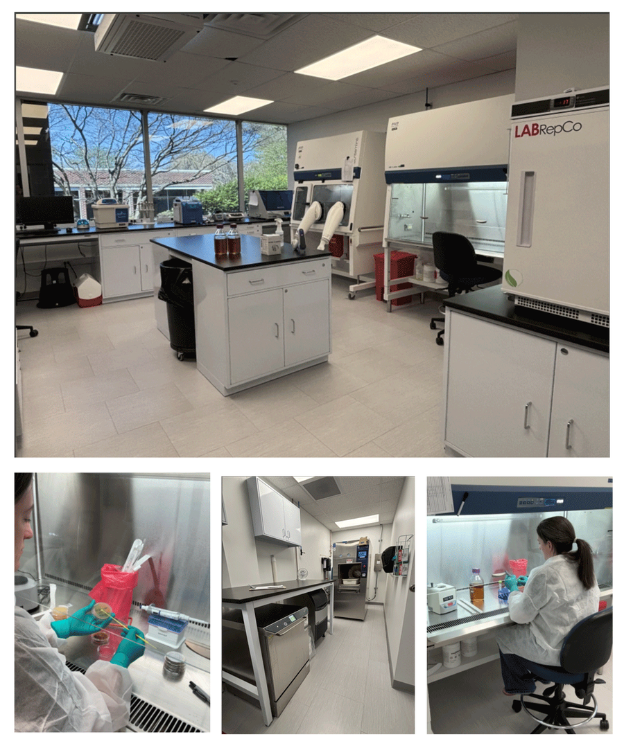 Microbiology Testing without External Bottlenecks