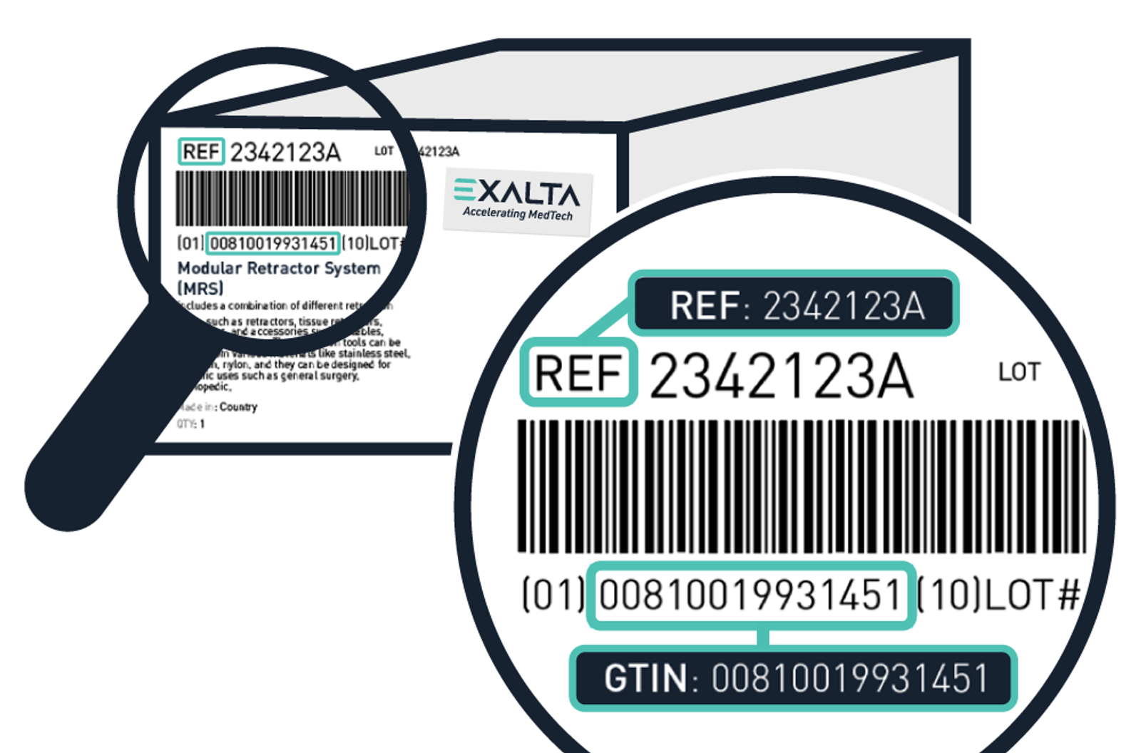 Diagram showing where the GTIN and REF numbers appear on a product label.