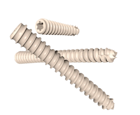 PEEK Compression Screw ExRay 30 System