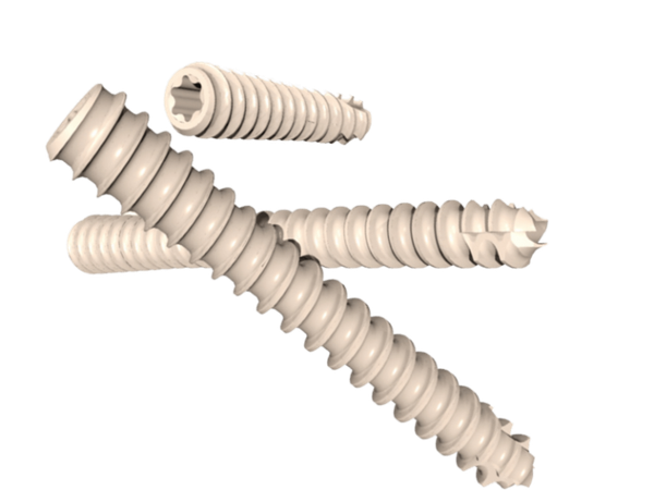 PEEK Compression Screw System