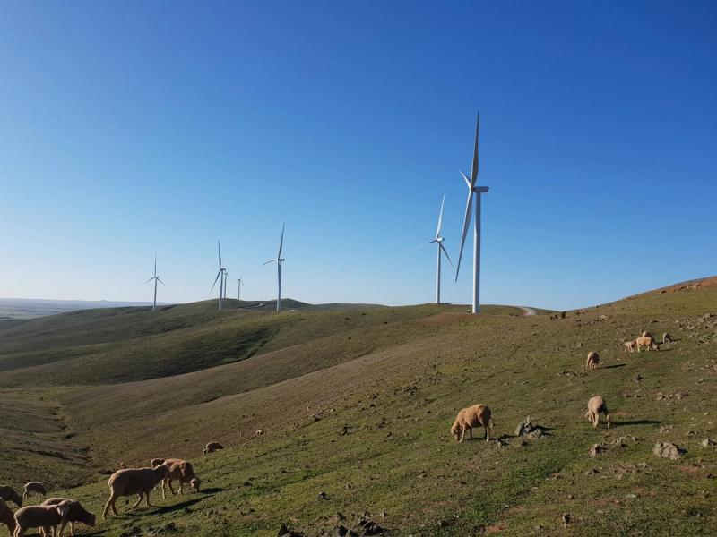 Willogoleche Wind Farm
