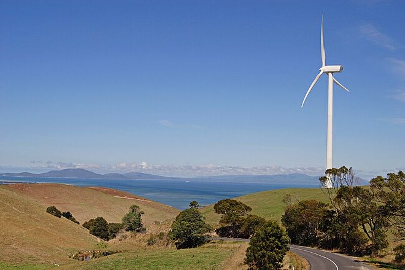 Photo of Toora