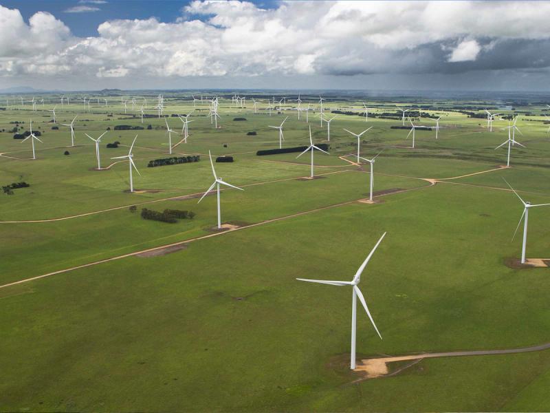 Macarthur Wind Farm
