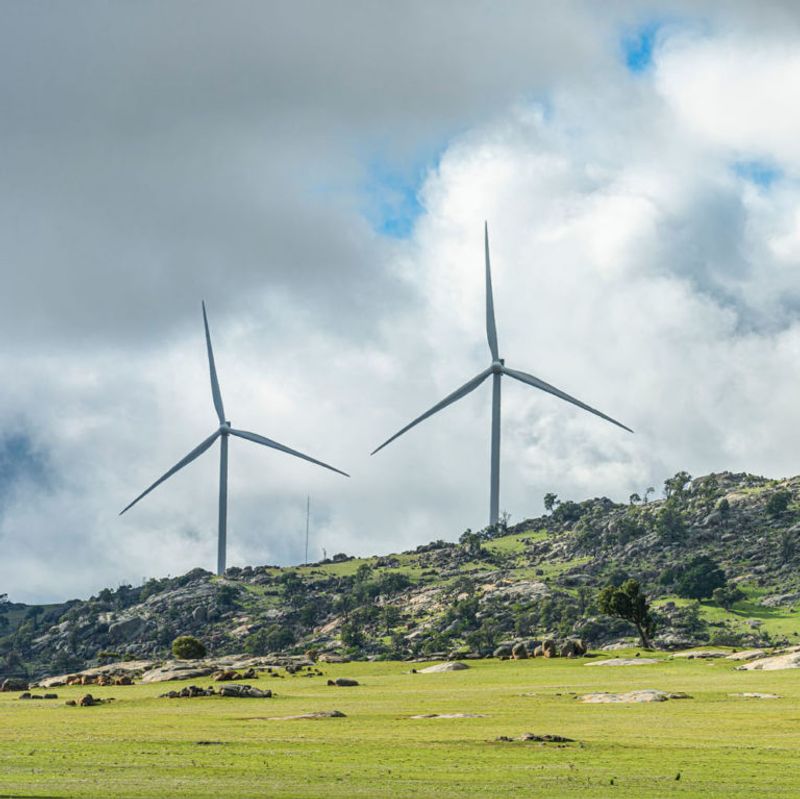 Yawong Wind Farm