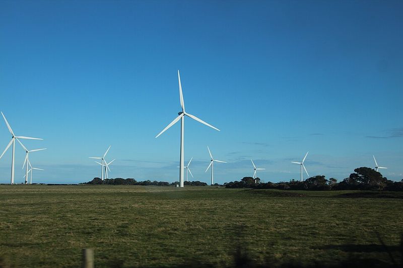 Bald Hills Wind Farm