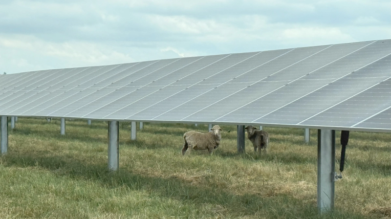 Glenrowan Solar Farm